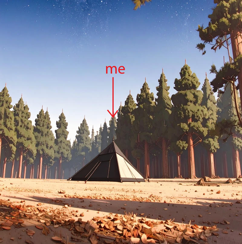 ANTI-SOCIAL CAMPING CLUB