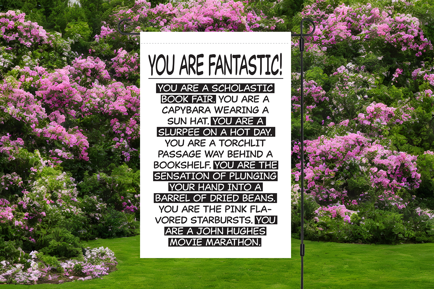 "You Are Fantastic" Yard Flag